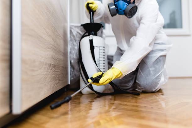 Best Insect Control  in Clinton, LA