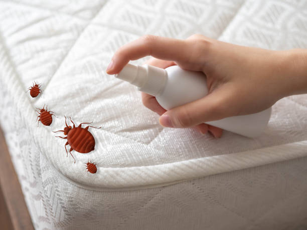 Best Flea Control Services  in Clinton, LA